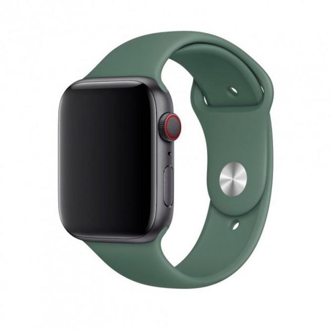 Ремешок для Apple Watch 38/40mm Sport Band Pine Green-1