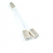 Перехідник Usams lightning Адаптер Cable US-SJ160 2 in 1 Золотий (SJ1602L02)