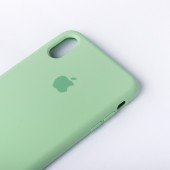 Оригинальный силиконовый чехол для iPhone X/Xs Пастельно Зеленый FULL Оригинальный силиконовый чехол для iPhone X/Xs Пастельно Зеленый FULL