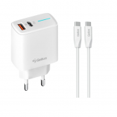 Сетевое зарядное устройство для Gelius Radiance GP-HC058 1Type-C+1USB-A + Type-C to Type-C Cable