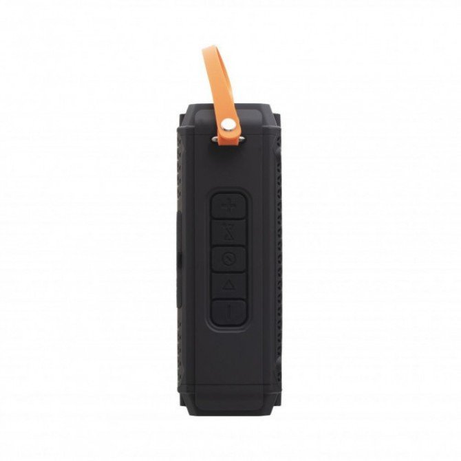 Bluetooth Колонка Hopestar P17 Black-1