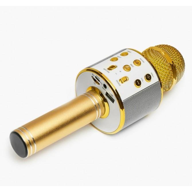 Микрофон WS-858 Gold-2