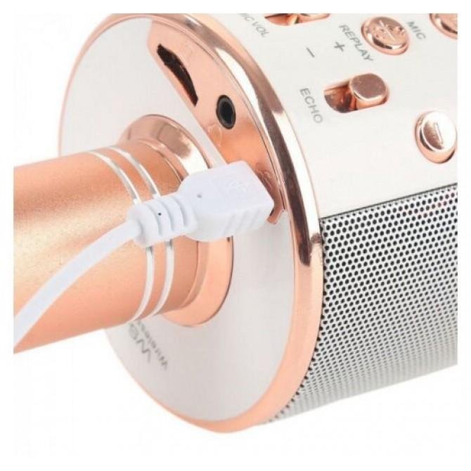 Микрофон WS-858 Rose Gold-2