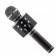 Микрофон WS-858 Black