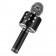 Микрофон WS-858 Black