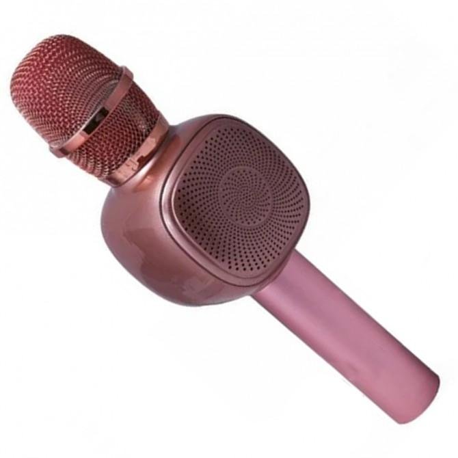 Микрофон K-310 Rose Gold-1
