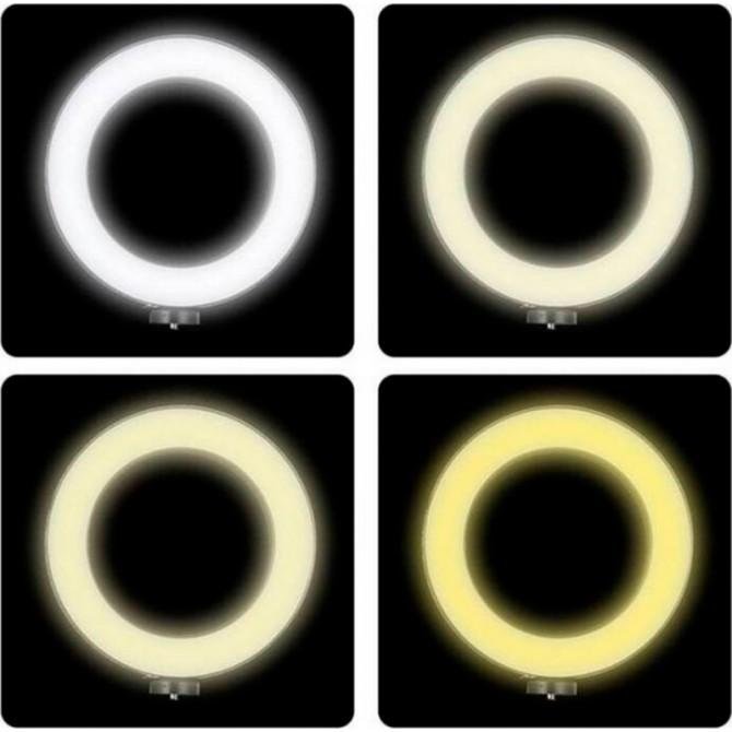 Кольцевая LED Lamp XO D-26cm L08/SJ26 Зеркало на штативе (Черный)-3