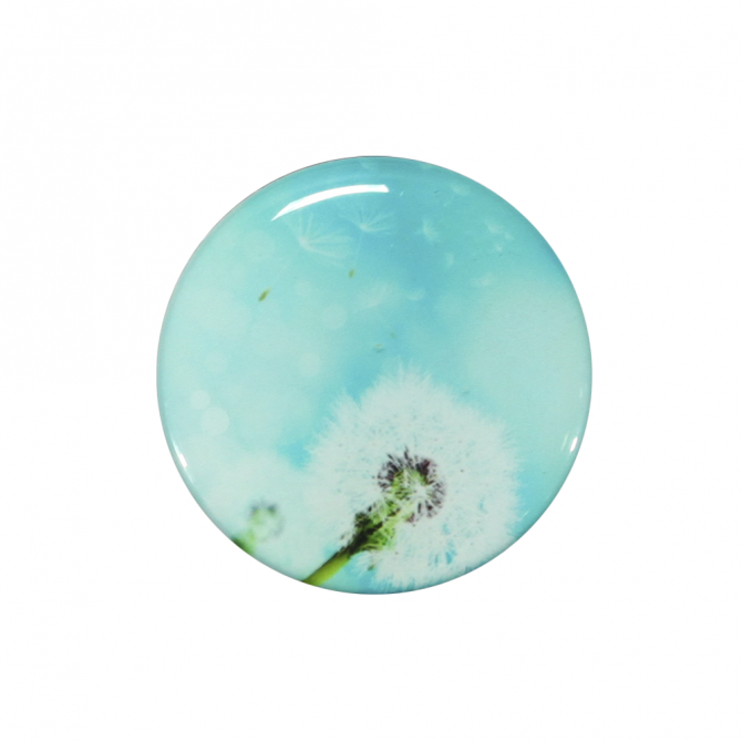 Держатель Pop Socket Dandelion