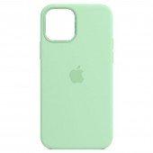 Оригинальный силиконовый чехол для iPhone 11 Мятный FULL Оригинальный силиконовый чехол для iPhone 11 Мятный FULL