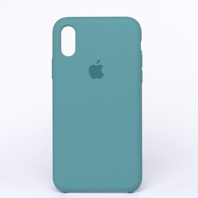 Оригинальный силиконовый чехол для iPhone X/Xs Светлый Шалфей FULL