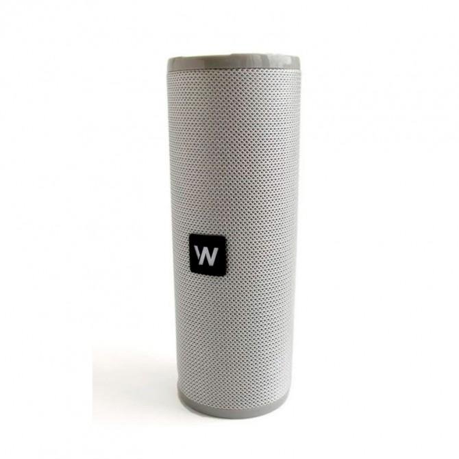 Колонка WALKER WSP-110 grey