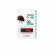Флешка Wibrand USB 3.2 Gen1 32Gb Ladybug Червоний