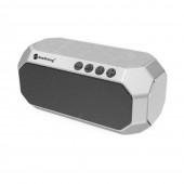 Портативна колонка NewRixing NR4000 Сріблястий