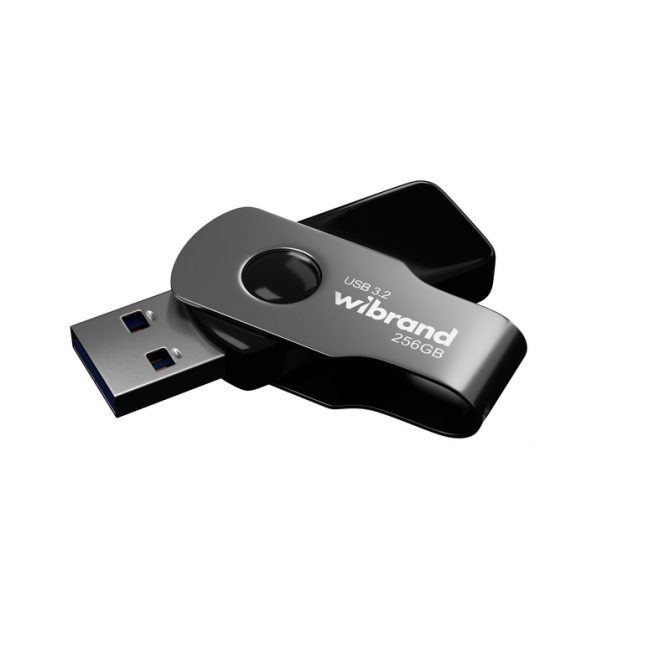 Карта пам'яті Wibrand USB 3.2 Gen1 256Gb Lizard Чорний