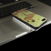 Чехол U-Like Picture series для iPhone 5/5S/SE Flamingo