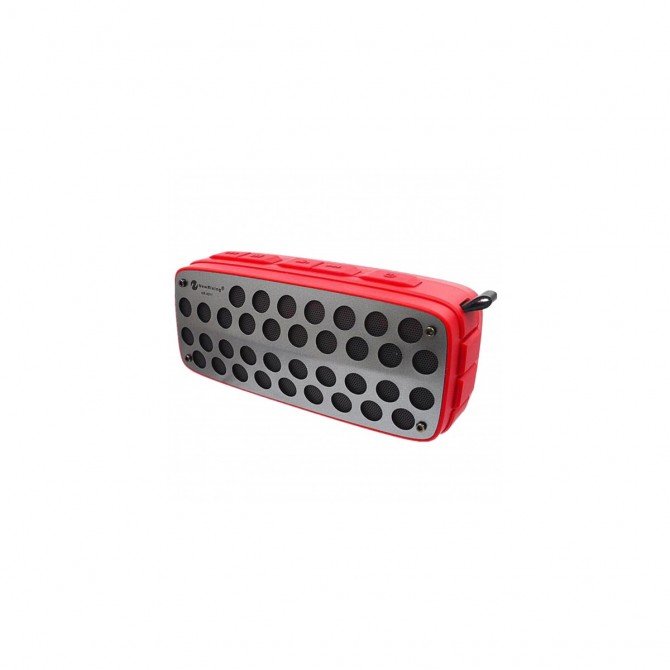 Портативна колонка NewRixing NR4011 GRID Red