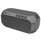 Портативна колонка NewRixing NR4000 Grey