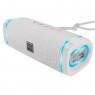 Bluetooth Колонка Borofone BR32 Сірий