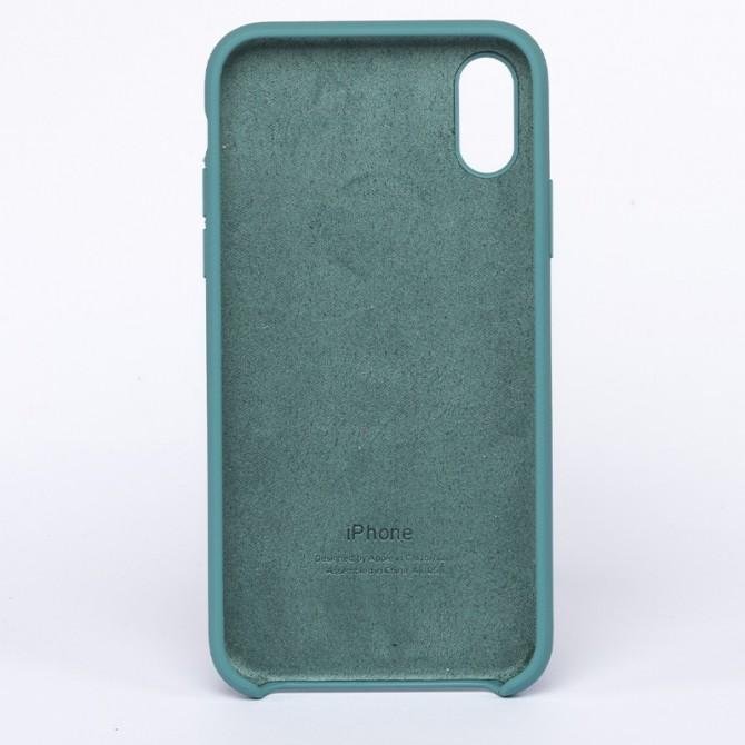 Оригинальный силиконовый чехол для iPhone X/Xs Светлый Шалфей-1