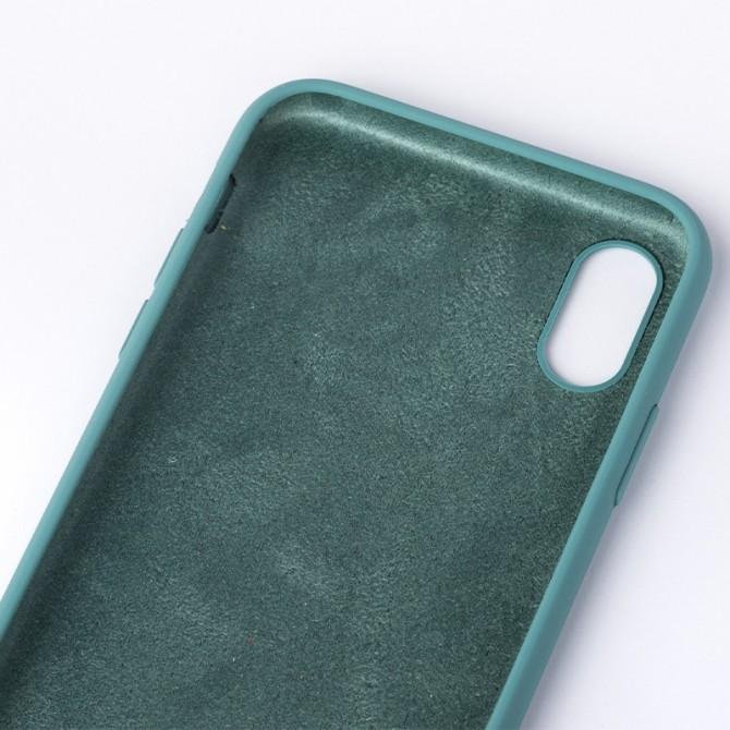 Оригинальный силиконовый чехол для iPhone X/Xs Светлый Шалфей-2